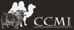 logo Algraph & Wolly Design